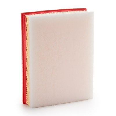 Air Filter RIDEX 8A0928 8A0928 - photo 4