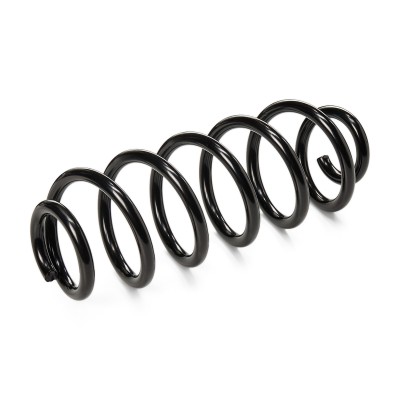 Suspension Spring RIDEX 188C0343 188C0343 - photo 4