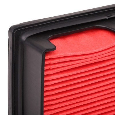 Air Filter RIDEX 8A0077 8A0077 - photo 5
