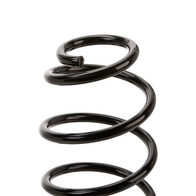 Suspension Spring RIDEX 188C0164 188C0164 - photo 5