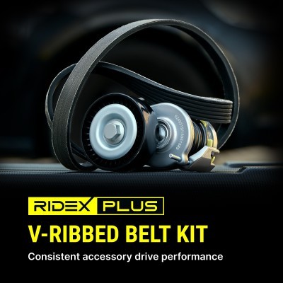 Drive Belt Kit RIDEX 542R0071P 542R0071P - photo 9