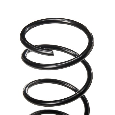 Suspension Spring RIDEX 188C0113 188C0113 - photo 5