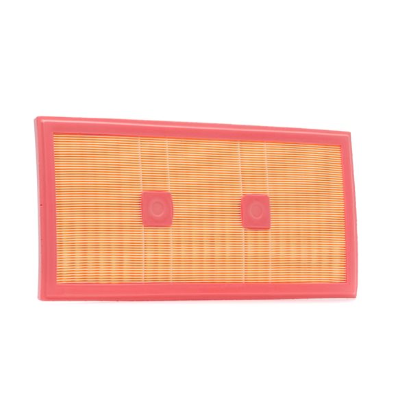 Air Filter RIDEX 8A0919 8A0919 - photo 1