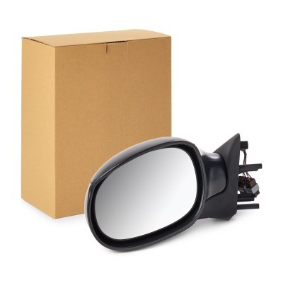 Wing Mirror RIDEX 50O0016 50O0016 - photo 1