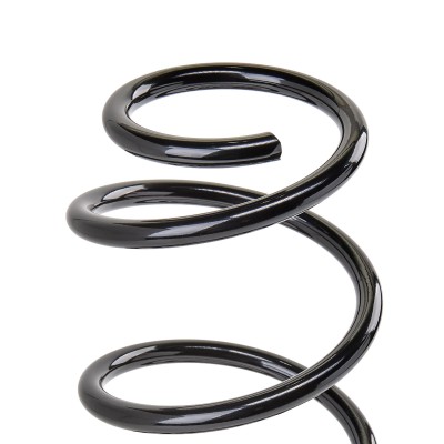 Suspension Spring RIDEX 188C0254 188C0254 - photo 4