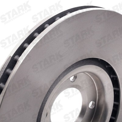 Brake Disc Stark SKBD-0023581 SKBD-0023581 - photo 5