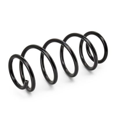 Suspension Spring RIDEX 188C0102 188C0102 - photo 6