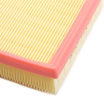 Air Filter RIDEX 8A0409 8A0409 - photo 5
