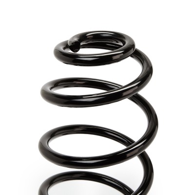 Suspension Spring RIDEX 188C0342 188C0342 - photo 4