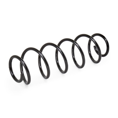 Suspension Spring RIDEX 188C0254 188C0254 - photo 3