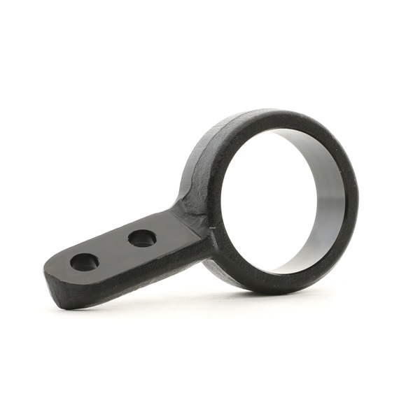 Control Arm Bushing RIDEX 251T0174 251T0174 - photo 1