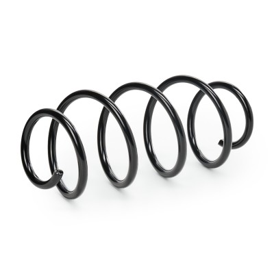 Suspension Spring RIDEX 188C0155 188C0155 - photo 7