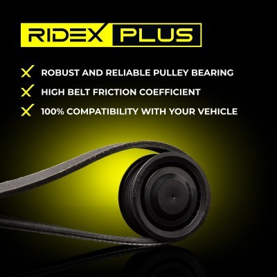 Drive Belt Kit RIDEX 542R0085P 542R0085P - photo 6