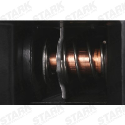 Thermostat, Coolant Stark SKTC-0560094 SKTC-0560094 - photo 8
