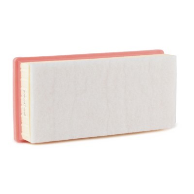 Air Filter RIDEX 8A0144 8A0144 - photo 4