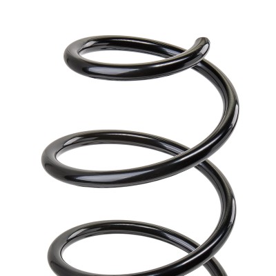 Suspension Spring RIDEX 188C0298 188C0298 - photo 5