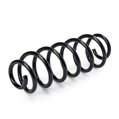 Suspension Spring RIDEX 188C1417 188C1417 - photo 7