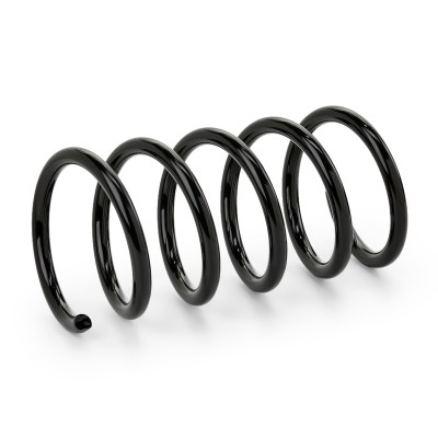 Suspension Spring RIDEX 188C0384 188C0384 - photo 4