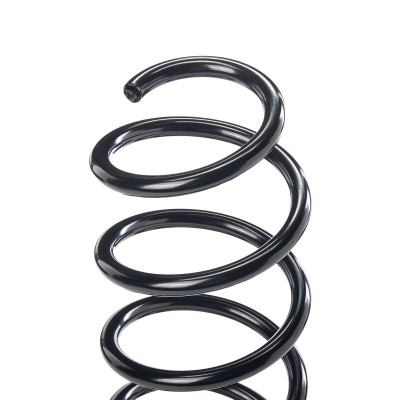 Suspension Spring RIDEX 188C0086 188C0086 - photo 7