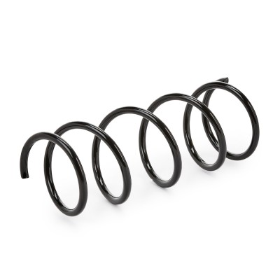 Suspension Spring RIDEX 188C0341 188C0341 - photo 4