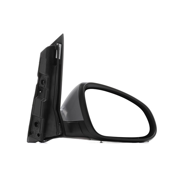 Wing Mirror RIDEX 50O0795 50O0795 - photo 1