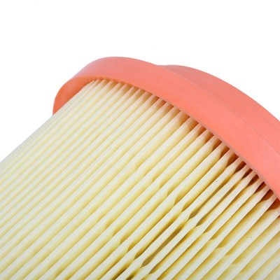 Air Filter RIDEX 8A0070 8A0070 - photo 5