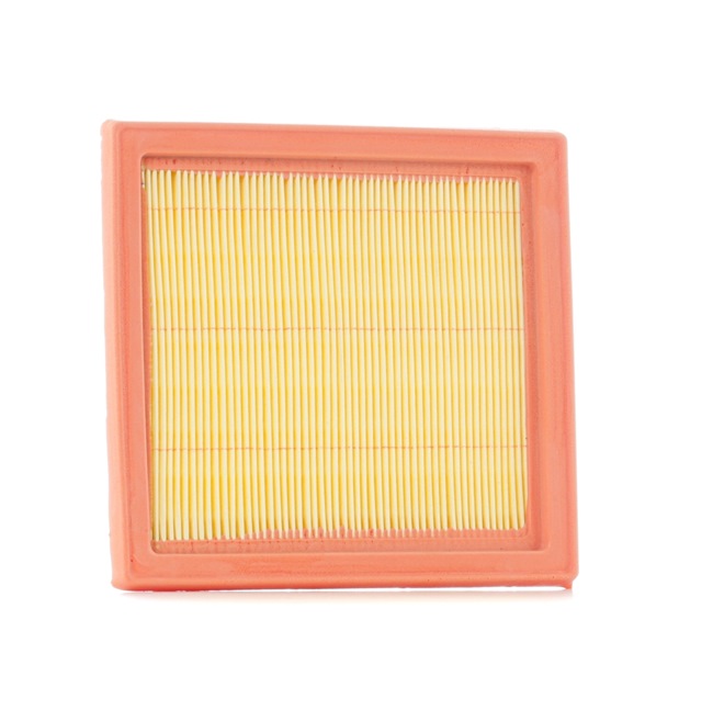 Air Filter RIDEX 8A0049 8A0049 - photo 1