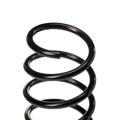 Suspension Spring RIDEX 188C0202 188C0202 - photo 5
