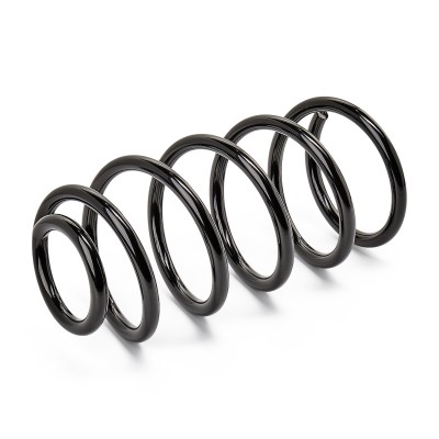 Suspension Spring RIDEX 188C0219 188C0219 - photo 7