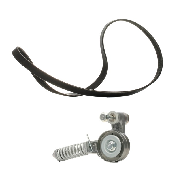 Drive Belt Kit RIDEX 542R0173P 542R0173P - photo 1