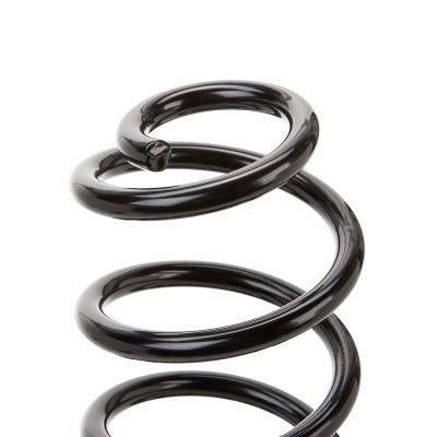 Suspension Spring RIDEX 188C0191 188C0191 - photo 7