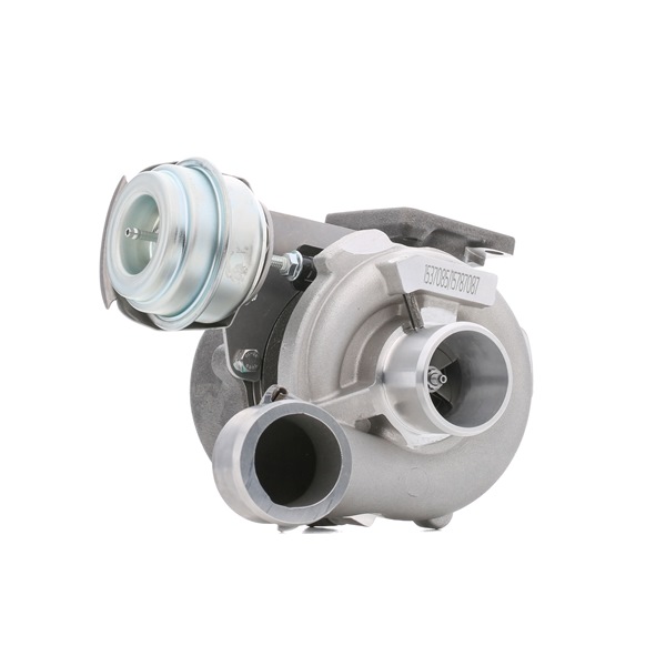 Turbocharger RIDEX 2234C10019 2234C10019 - photo 1