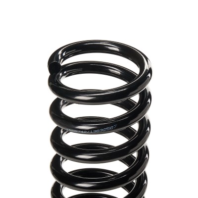 Suspension Spring RIDEX 188C0362 188C0362 - photo 5