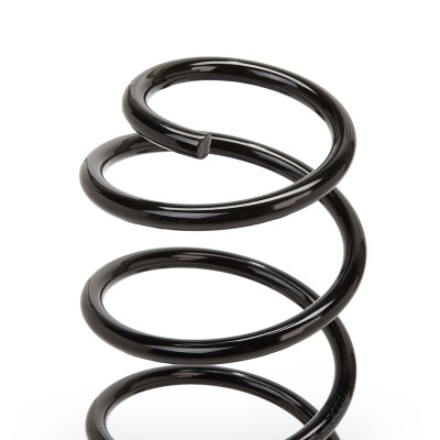 Suspension Spring RIDEX 188C0581 188C0581 - photo 5