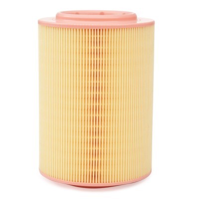 Air Filter RIDEX 8A0134 8A0134 - photo 4