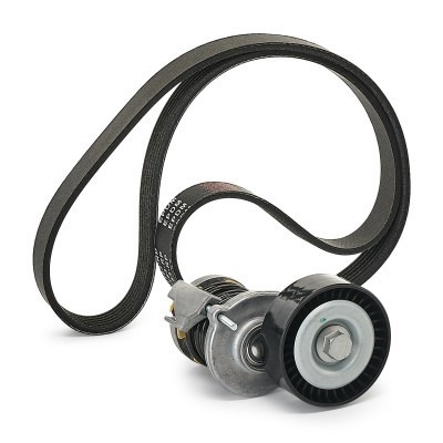 Drive Belt Kit RIDEX 542R0041P 542R0041P - photo 10
