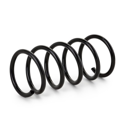 Suspension Spring RIDEX 188C0176 188C0176 - photo 6