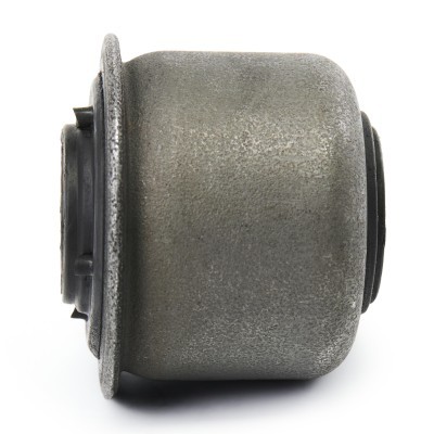 Control Arm Bushing RIDEX 251T0170P 251T0170P - photo 5