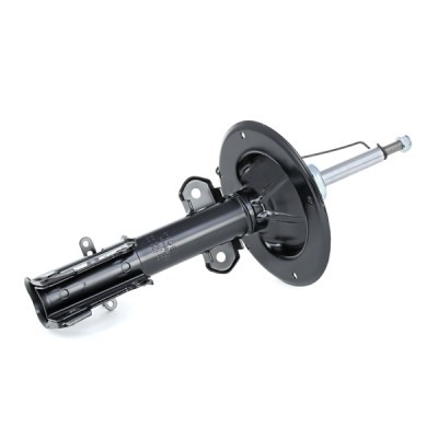 Shock Absorber RIDEX 854S0189 854S0189 - photo 3