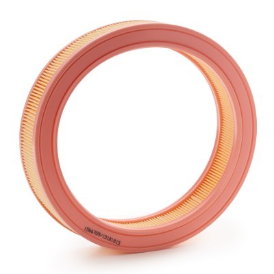 Air Filter RIDEX 8A0972 8A0972 - photo 3