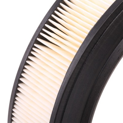Air Filter RIDEX 8A0203 8A0203 - photo 5
