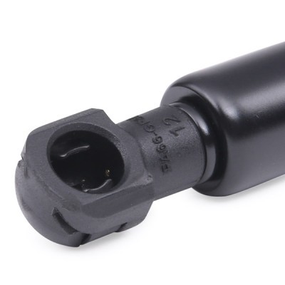 Bonnet  Gas Spring RIDEX 514G0162 514G0162 - photo 6