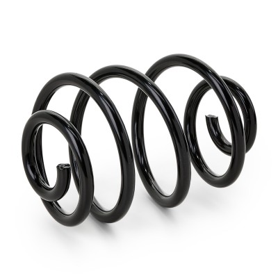 Suspension Spring RIDEX 188C0262 188C0262 - photo 6