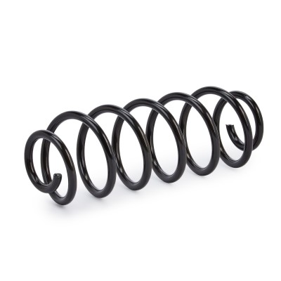Suspension Spring RIDEX 188C0308 188C0308 - photo 7