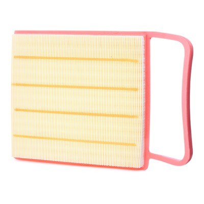 Air Filter RIDEX 8A0459 8A0459 - photo 3