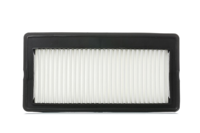 Air Filter RIDEX 8A0212 8A0212 - photo 1