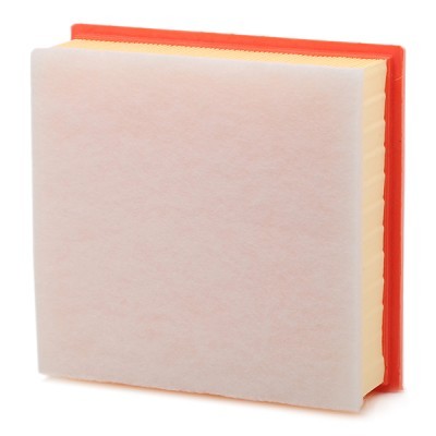 Air Filter RIDEX 8A0279 8A0279 - photo 4