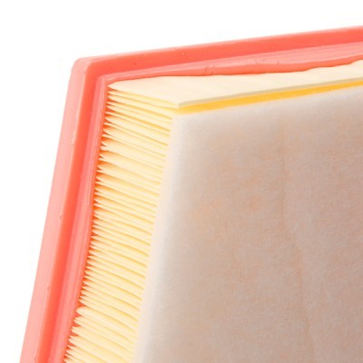 Air Filter RIDEX 8A0868 8A0868 - photo 5