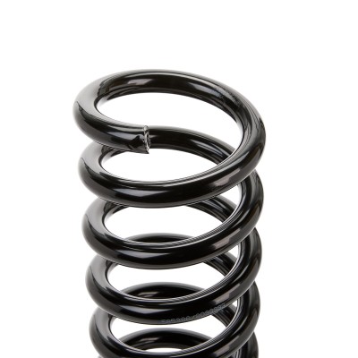 Suspension Spring RIDEX 188C0170 188C0170 - photo 6