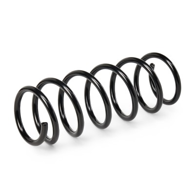 Suspension Spring RIDEX 188C0250 188C0250 - photo 3